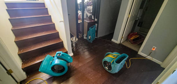 , DE Water damage restoration Company