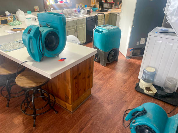 Best Flood damage cleanup  in Glasgow, DE