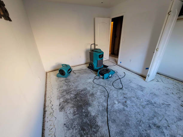 Best Professional water damage repair  in Glasgow, DE