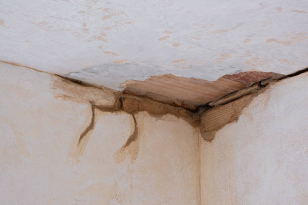 24/7 water damage repair in DE