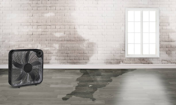 Best 24/7 water damage repair  in Glasgow, DE