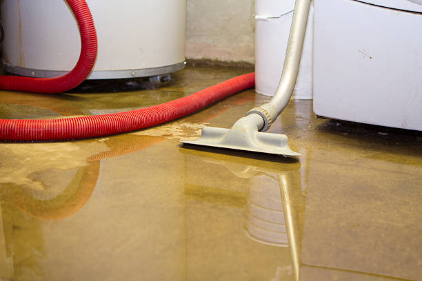 Best Water damage cleanup near me  in Glasgow, DE