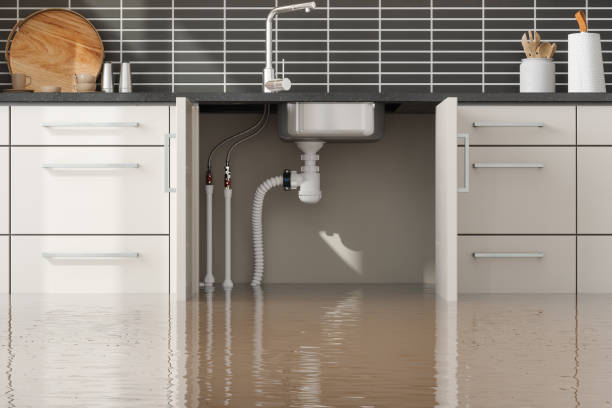Best Flooded house restoration  in Glasgow, DE
