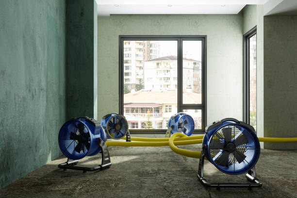 Best Carpet water damage restoration  in Glasgow, DE